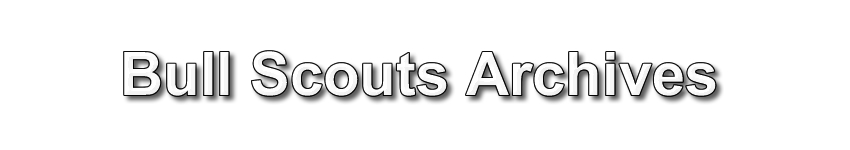 BullsScoutTroopTitle